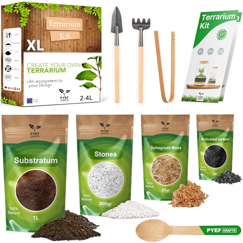 PYEF CRAFTS DIY Terrarium Kit for Plants Starter Set for Garden in Bottle SelfSustaining Ecosystem Supplies for Succulents Air Plants Fern Set without Jar (XL) Without Plants