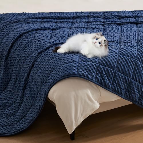 Topcee Weighted Blanket King Size (20lbs 80"x87"), Minky Dots Heavy Blanket for Woman, Man Sleeping, Soft, Cozy and Cooling Weighted Throw Blankets, Machine Washable, Blue