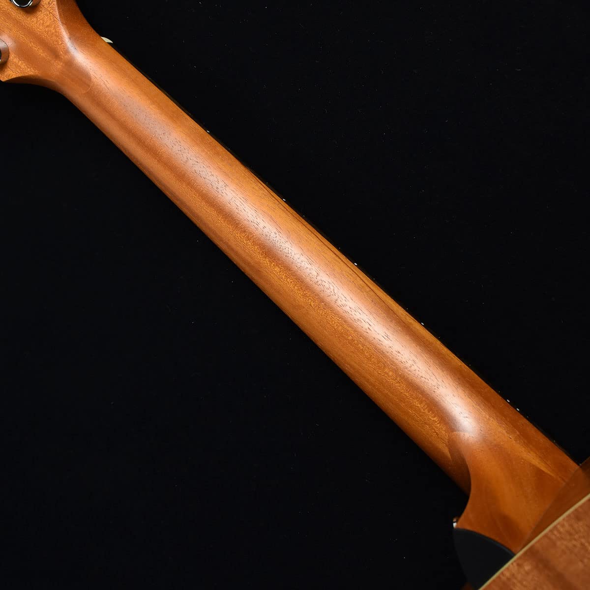 Amazon | Taylor Academy 10e S/N：2104177187 【エレアコ】 テイラー