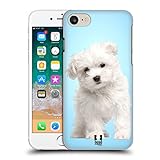 Super fine e leggero Head Case Designs Cucciolo Maltese Razze Famose di Cani Cover Dura per Parte Posteriore Compatibile con Apple iPhone 7/8 / SE 2020 & 2022