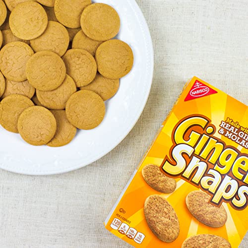 Nabisco 00365 Ginger Snaps Cookies thumb #4
