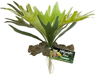 Zoo Med Naturalistic Flora, Staghorn Fern *Plastic Plant*
