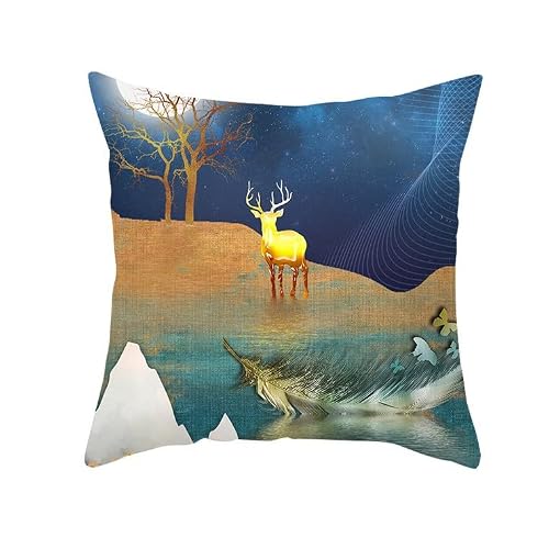 Chenlane Silk Pillow Cover For Outdoor Patio Furniture Cushion Indian Nordic Psychedelic Style, Couch Covers Indoor Printed Exquisite Prints 50x50 cm, 1Pcs