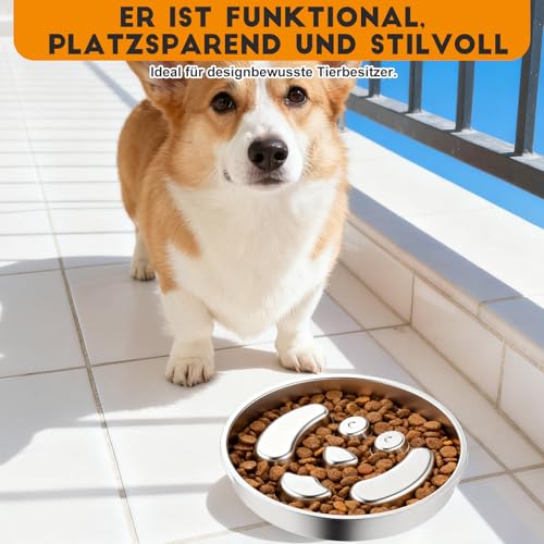 Antischlingnapf Hunde Edelstahl - Anti Schling Napf Hund Ø22cm Slow Feeder aus 304 Edelstahl, Metall Schlecknapf für Schnelle Esser, Spülmaschinengeeignet & Langlebig, für mittelgroßer Hund