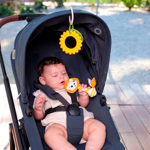 Tiny Love, Caixa Presente Primeiros Brinquedos Gift Set, Meadow Days