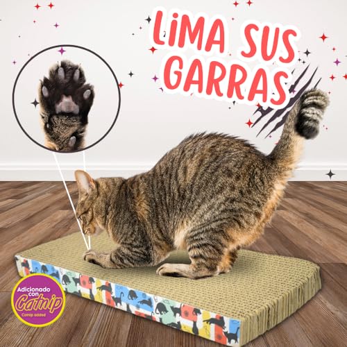 Consejos y comparativas para Comprar Gato los 7 más buscados. 15 Imagen adicional