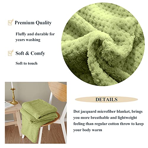 Simple&Opulence Solid Coral Jacquard Dot Velvet 50 X 60-Inches Throw Blanket, Green #TOP2