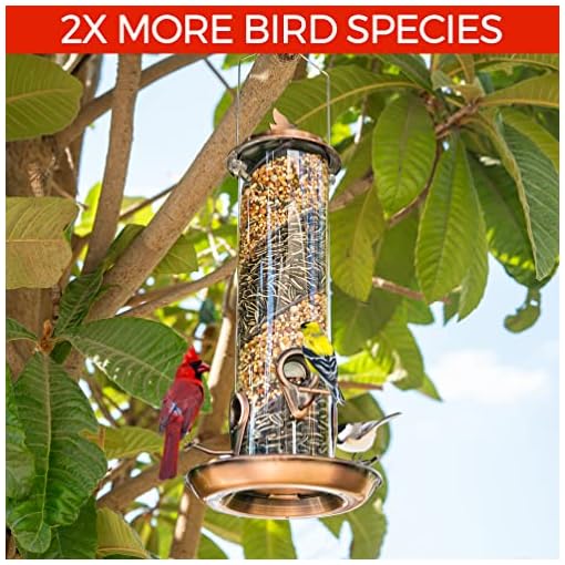 Nature Anywhere Copper Colored Spiral Bird Feeder with Double Feeders