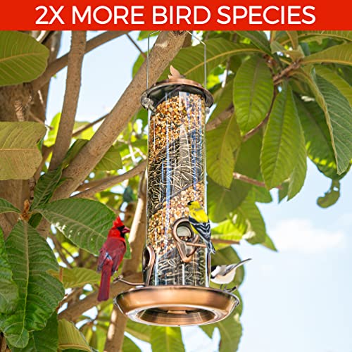 Nature Anywhere Copper Colored Spiral Bird Feeder With Double Feeders For Outside. Fits Pole And House Hooks. Includes Free Funnel. Feed Large And Small Birds Like Cardinal, Woodpecker & Finch. #TOP3