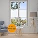 ProfessionalTree Vinilo Cristal Ventana Autoadhesivo – Pegatina Película Efecto Traslúcido Mate para...