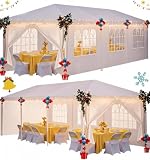 HOTEEL 10x30 Party Tent 300 Sq Ft