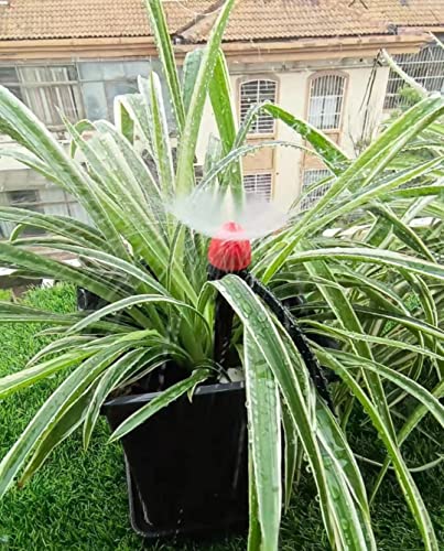 1/4" Drip Irrigation Emitters, Yulaiyoen 1/4-Inch Spray Emitters 30 Pack, Automatic Drip Irrigation Parts Accessories, 360 Degree Drip Irrigation Sprinkler Heads Sprayer For Irrigation System #TOP6