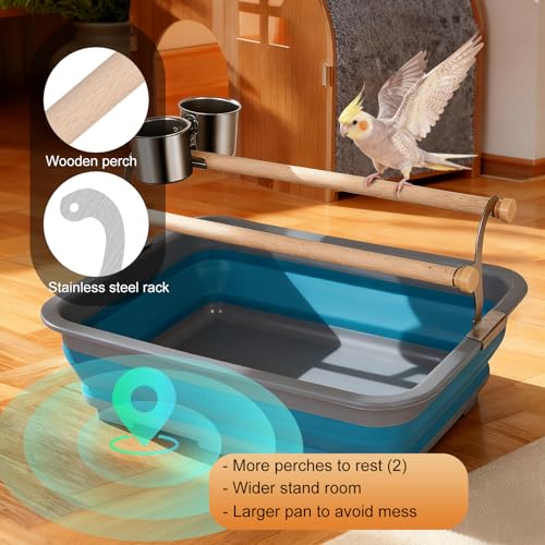 Image of Bird Desktop Training Perch Stand with Washable Plastic Tray, Large Size for Parakeet, Budgie, Cockatiel, Conure, Long Tail Parrot, Collapsible Design (Blue, Large)