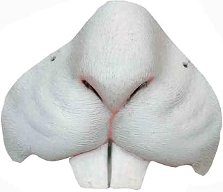 Nose Costume Accessory, Standard