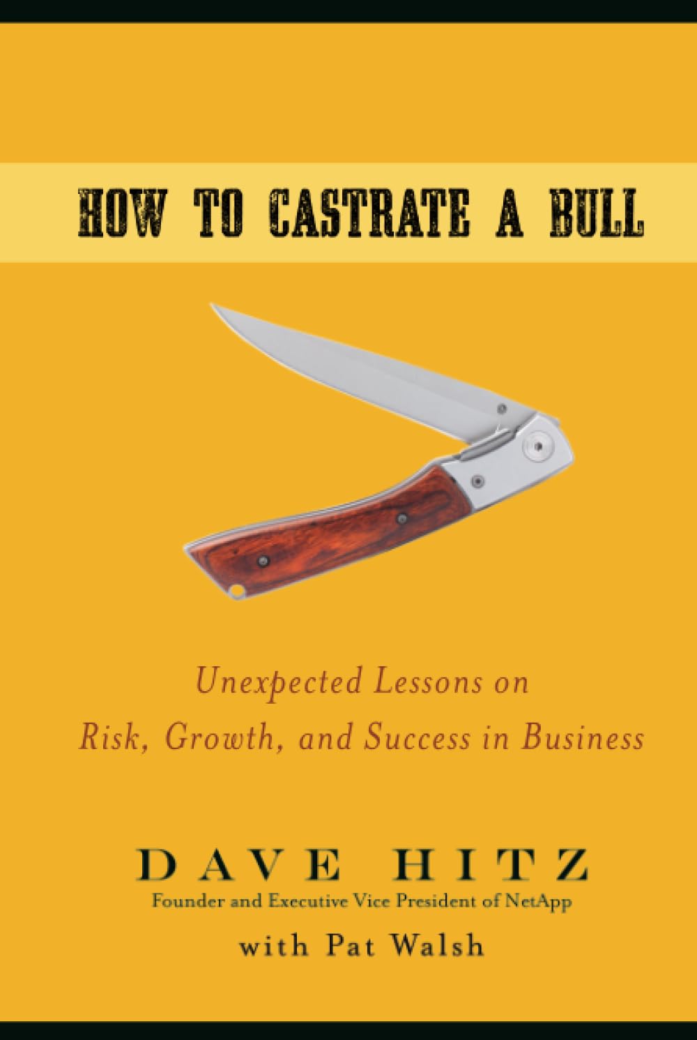 How to Castrate a Bull: Unexpected Lessons on Risk, Growth, and Success in Business