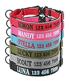 indink Personalized Embroidered Dog Collar with Name & Phone Number, Martingale Reflective Custom Pet Collar, Adjustable Heavy Duty ID Collar for Small Medium Large Dogs