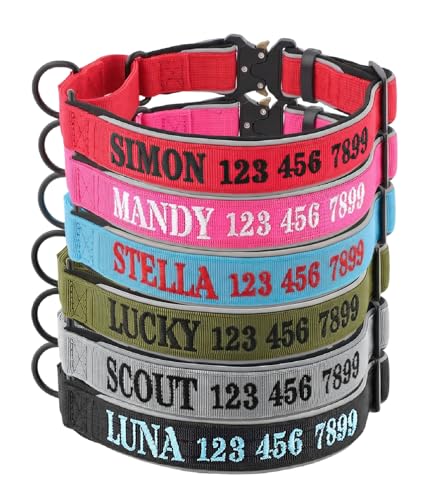 Personalized Martingale Dog Collar with Name & Phone Number