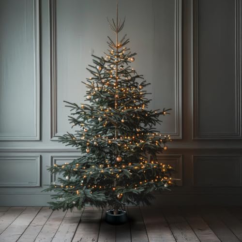 Arti Casa Weihnachtsbaumständer - Christbaumständer für echten Weihnachtsbaum - Tannenbaumständer für Innen - Baumständer große Stämme zwischen 35-130 mm - Ständer für Weihnachtsbaum