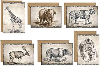 48 Eco-Friendly Blank Artist Drawn Greeting Cards Drawn