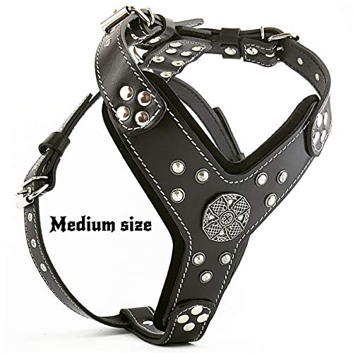 Bestia Maximus Silver Big Dog Leather Harness … #TOP1