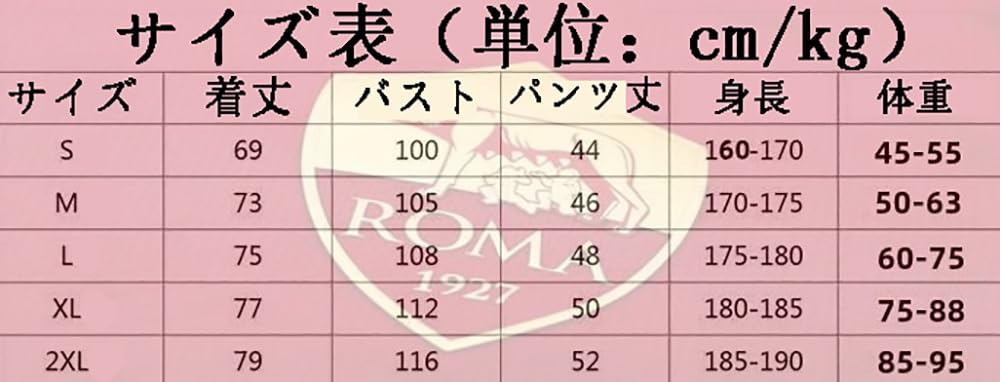 フランチェスコトッティ　限定記念ユニフォーム　インポートS　ゴールデンコンセプト 世界限定100本!?】サッカー元イタリア代表とコラボした特別な