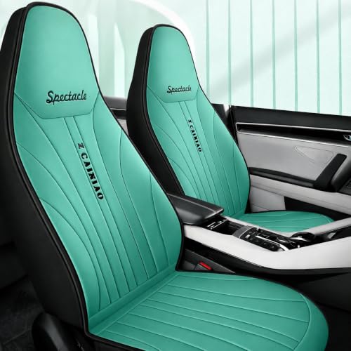 C�N���X C350 S204 �V�[�g�J�o�[ �h�� �V�[�g�N�b�V���� �� ���U�[ �^�]�� ����� �O�ȃZ�b�g 6�F TANE F �O���[��