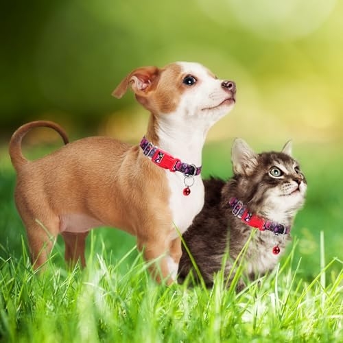 Collier pour chien XXS chat chiot petits animaux clochette noir - 3