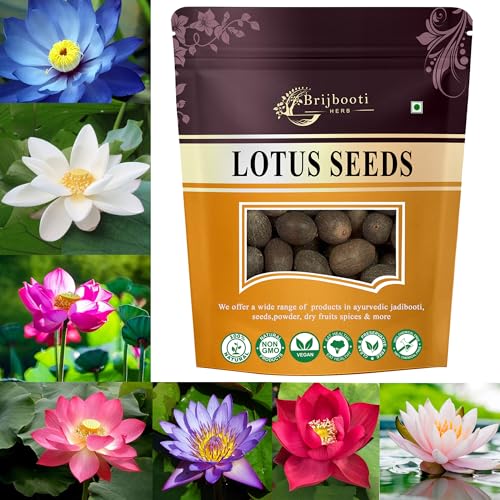Image of Brijbooti Kamal Seeds 40-50 Seeds | Lotus Flower Seeds | Kamal Gatta | 100% Germination | Multi-Color Lotus Flower Seeds for Home Garden, Pond & Rosary