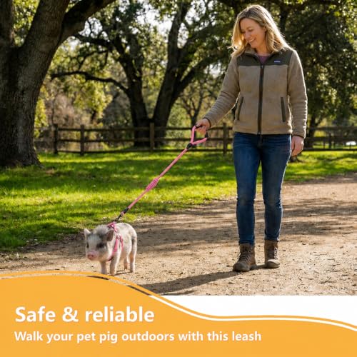 Image of Mini Pig Harness, Adjustable Small Pig Harness with Leash Infinity Style Lead and Soft Foam Handle for Small to Medium Pet Pigs Walking Training Jogging (Pink, S)