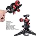 iShoot Tripod Head Mount Converter Quick Release Adapter for Cantilever Head, Fluid Head, Ballhead, Tripod Heads with Circular Bottom & 3/8 Screw Hole, Bottom is Arca-Swiss Fit Quick Release Plate