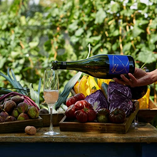 Dante Robino Espumante Extra Brut Argentina