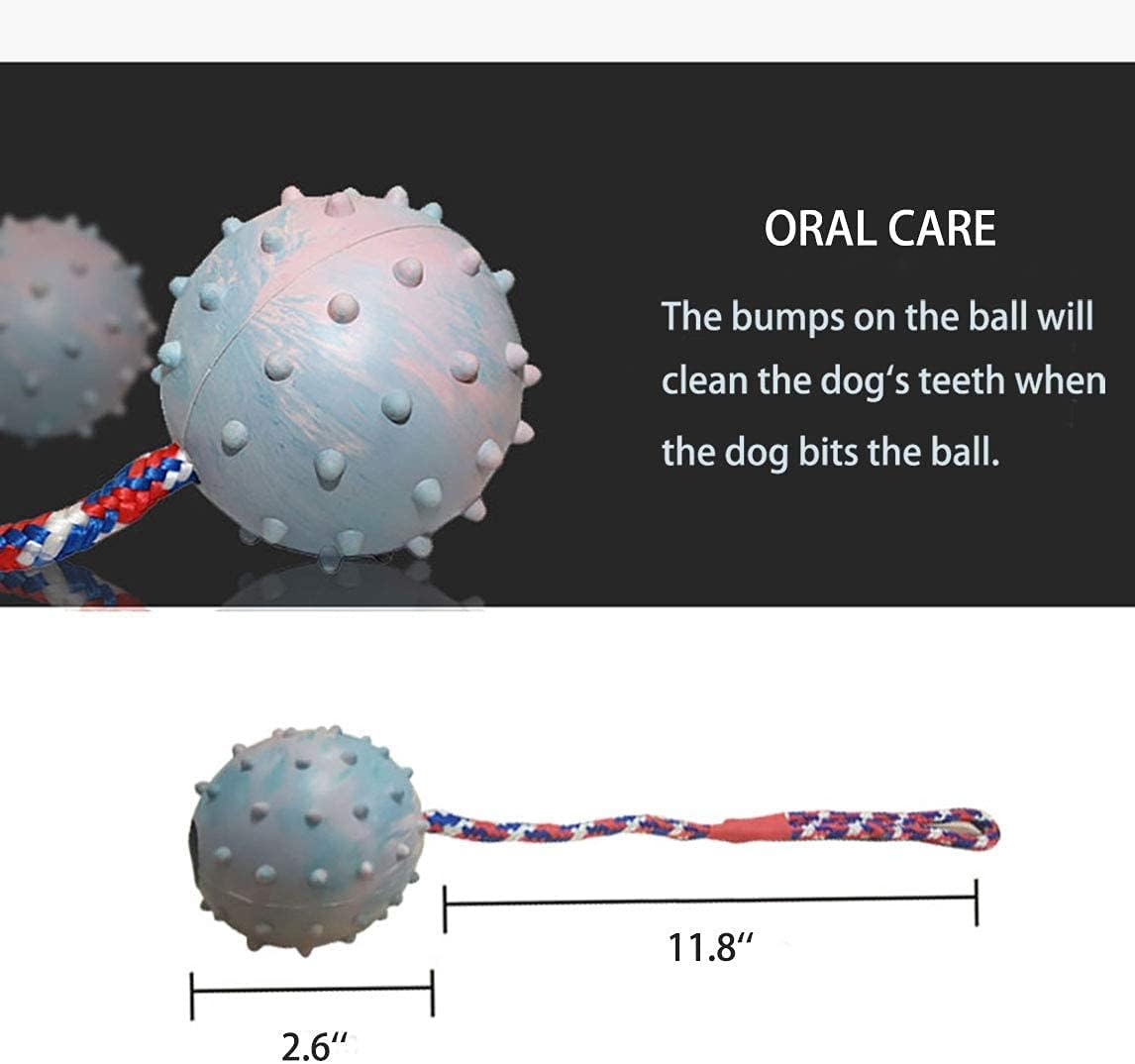 Sharpfish Chew Ball on Rope, Rubber Rope Ball for Dog Training, Chewing and Interactive, Tug Ball Toy for Medium and Small Dog, Tough Rope Toy, Non-Toxic and Durable Dog Toy