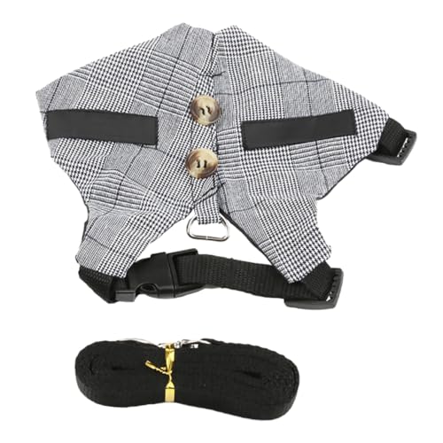 EXAOMBLE ^ybgpȃ|GXen[lX ʋCǍDŉK nX^[tFbgKp NIȎUƃp[eB[ qh~