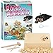 Kit di scavare pietre preziose, cristallo minerario pirata tesoro archeologico fossili bambini educativi esplorazione e estrazione mineraria giocattoli minerali collezione kit