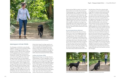 Jagdverhalten bei Hunden: Der Weg zum zuverlässigen Begleiter