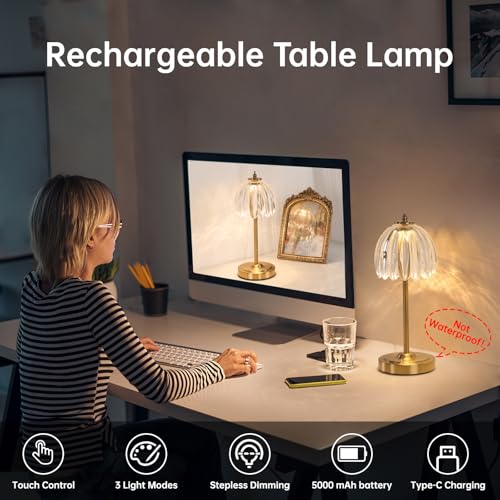Image of Shenmoyl Set of 2 Tulip Table Lamp with 5000mAh Battery & Touch Control, Cordless Table Lamp with 3 Colors, Dimmable Rechargeable Table Lamps for Bedroom, Living Room, Entryways (Transparent Tulip)