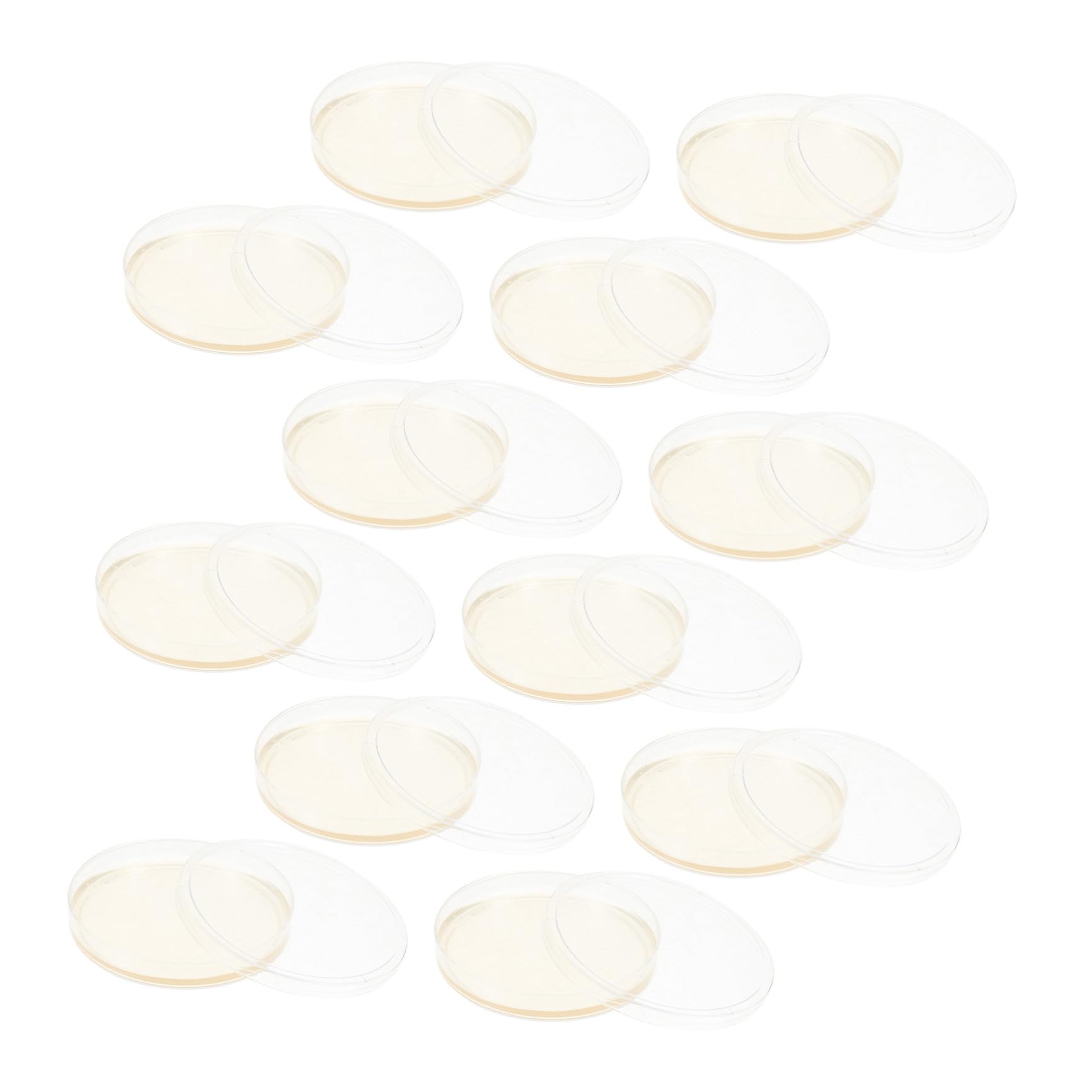 20 Placas de Petri Redondas de Agar Nutritivo Lb Pre-vertidas de 9 Cm Tapas Ajustadas para Cultivo de Hongos y Experimentos Científicos en Laboratorio Estudiantil