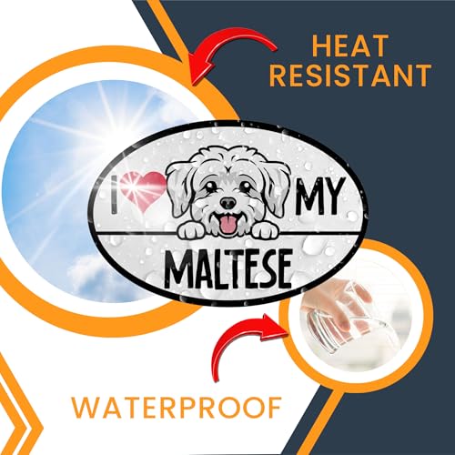 Image of Magnet Me Up I Love My Maltese Dog Breed Car Magnet Decal, 4x6 Inches Oval, Decorative Magnet, Charming and Playful Breed, Cute Peeking Dog Bumper Magnet, Gift for Maltese Dog Lover, Crafted in USA