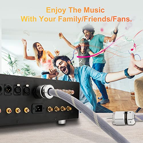 Audiophile Hifi Power Cord, 10Awg Us Ac Main Supply Cable, Nema 5-15P Iec320-C15 Female Connector, 125V/15A For Speaker, Subwoofer, Turntable, Amp, Dac. (Rhodium Plated 10 Awg, 1.0M / 3.3 Feet) #TOP1