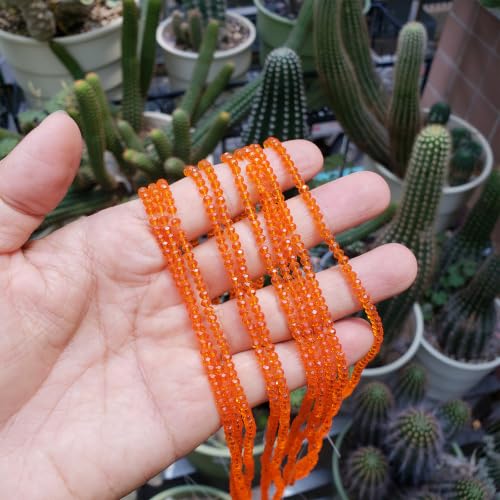 View 3