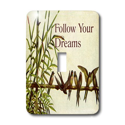 Funda para interruptor de luz de pájaros vintage: decora y cubre marcas en la pared