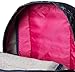 JanSport Classic Super Fx