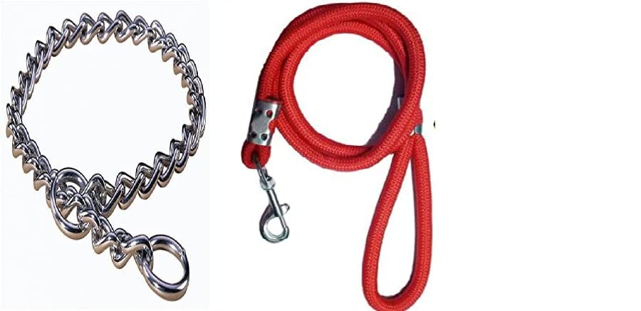 Senapati Chrome Plated Coller and Red Rope Medium (B0B6RN7WTV) Amazon Price History, Amazon Price Tracker