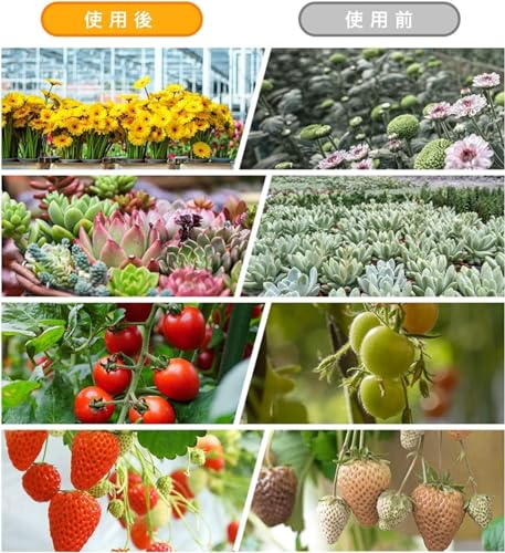 Demanca 植物育成ライト led 2個 全光スペクトル 太陽光 e26 150個LEDチップ 100W相当 の商品画像 3
