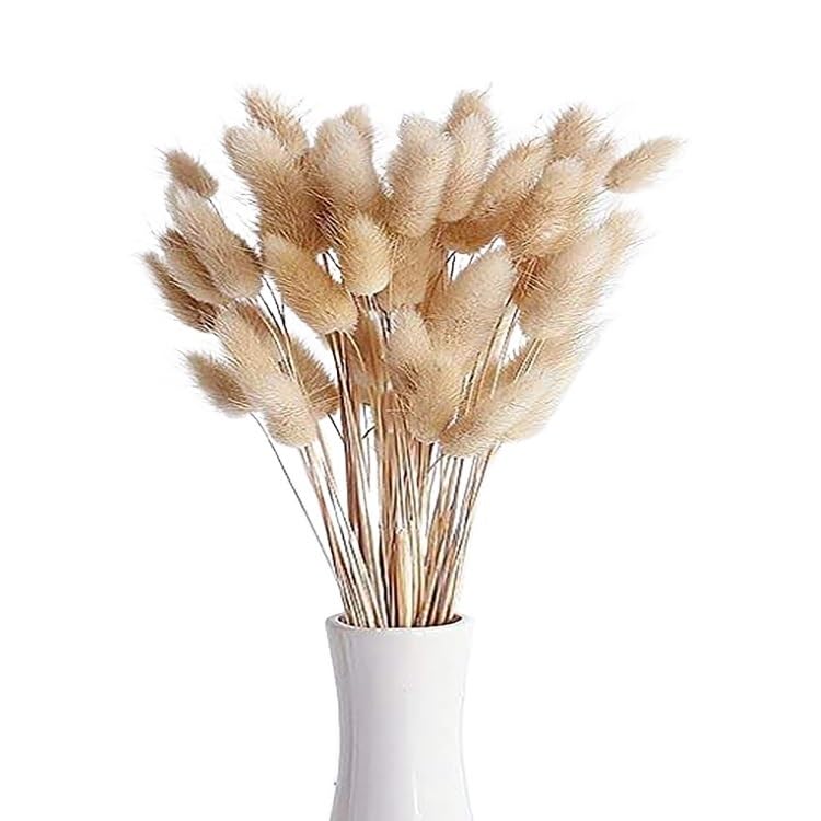 Ramo Grande de Pasto Pampas Seco para Decoración 50pcs miniatura 1