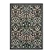 Lahome Claude Floral 5x7 Rug for Living Room, Soft Washable Area Rugs for Bedroom, Botanical Thin Stain-Resistant Black Boho Carpet for Dining Room, Guestroom, Nursery Indoor