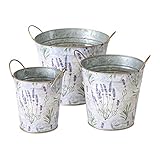 WHW Whole House Worlds Lavender de Provence Cache Pot Planters, Set of 3, French Country Botanicals,...