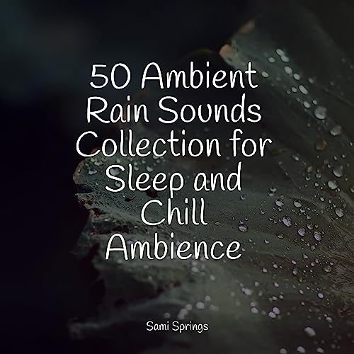 50 Ambient Rain Sounds Collection for Sleep and Chill Ambience : Sleep ...