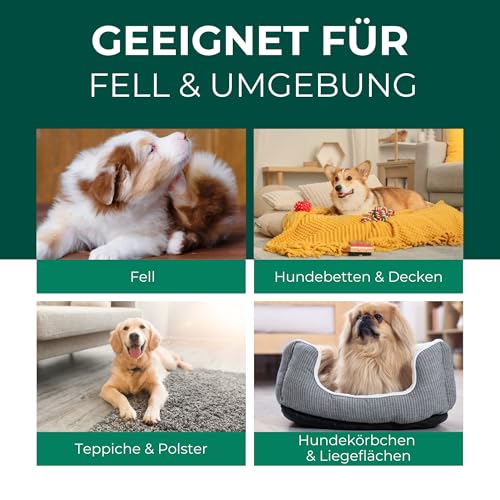 Silberkraft Milbenspray Hunde 500ml - Effektives Anti Milben Spray für Hunde - Milbenbefall behandeln Grasmilben Räudemilben Ohrmilben Hund