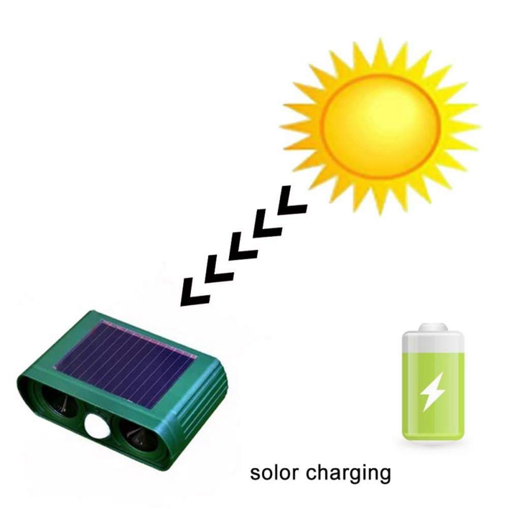 ERNZI Répulsif pour Chat, répulsif pour Animaux à énergie Solaire, dissuasif pour Animaux ultrasonique imperméable à l'eau, répulsif pour Animaux en Plein air pour Chats, Chiens, écureuils